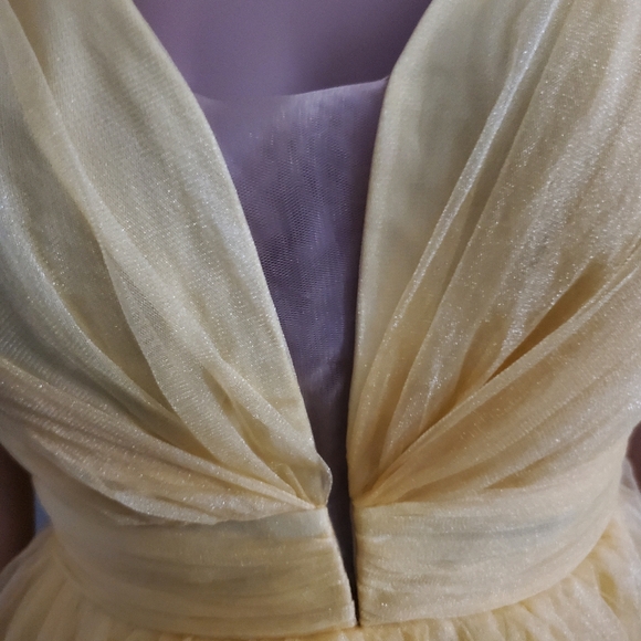 Mini Tulle Dress - Picture 9 of 16